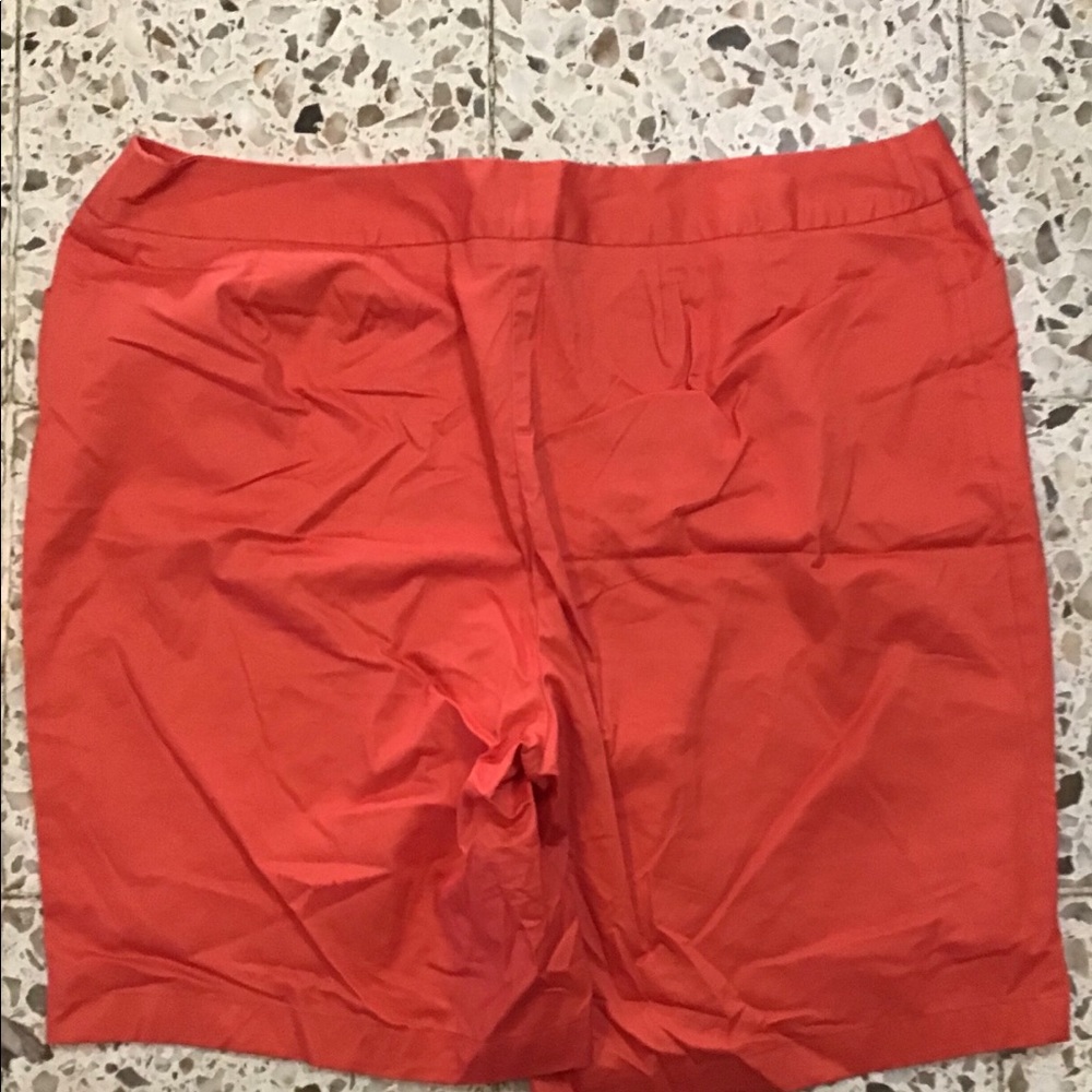 Salmon Avenue Chino Shorts - Picture 2 of 4
